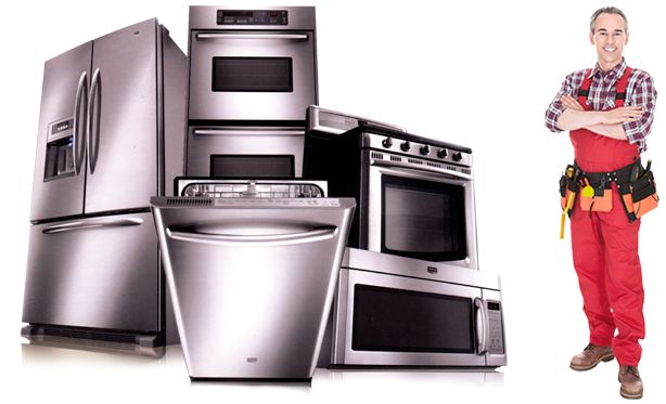 Ремонт бытовой техники Electrolux